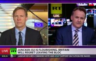 UKIP-MEP-on-Junckers-United-States-of-Europe